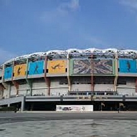 鳥松--看棒球就要來澄清湖棒球場